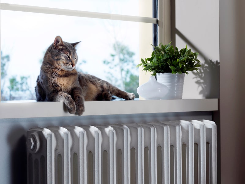 4 HVAC Maintenance Tips for Pet Owners in Cumming, GA