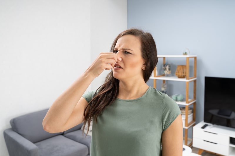 2 Reasons Your Heat Pump Has a Musty Smell in Buford, GA